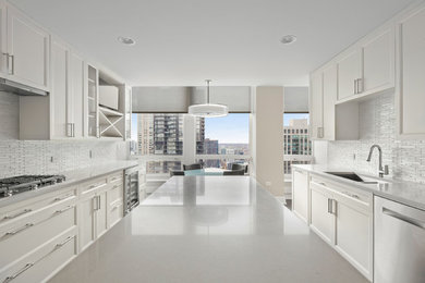 Trendy kitchen photo in Chicago