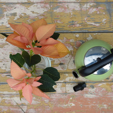 Holiday Floral Design from the Garden & Flower Farm