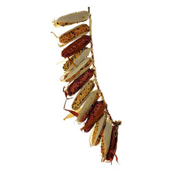 All Items - Wreaths And Garlands