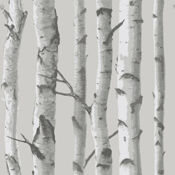 Birch Forest Grey Peel & Stick Wallpaper, Swatch