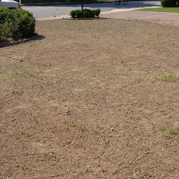 Front Yard Sod Installation