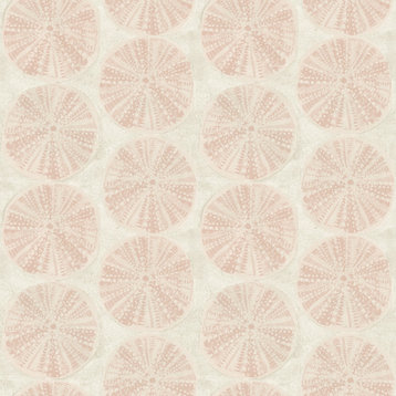 Sea Biscuit Peach Sand Dollar Wallpaper Sample