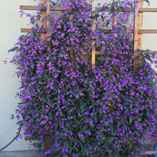 Aménagement d'un jardin éclectique.