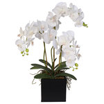 Jenny Silks - Real Touch Phalaenopsis Silk Orchids in a Metal Planter - Opulent without being overdone, this lux design features premium artificial orchids anchored in an understated metal container with a crisp white floral motif. A stylish and affordable way to enjoy the look of fresh flowers every day; this artificial orchid plant features the highest quality silk blooms for a life-like effect. Perfect for home or office, this striking design lends height and drama to any space and will pair well with any style from traditional to contemporary. Part of our Real Touch line, this product utilizes the latest liquid polymer technology to produce the most realistic and lifelike artificial plants available. Like the name suggests, come up close, touch them and you'll still be guessing if the flowers are real or artificial. Our Real Touch flowers are one of a kind, only using the highest quality silk flowers AND they are cleanable! Simply use a brush to wipe the dust off and a damp paper towel to remove any remaining debris.