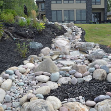 Landscape Ideas