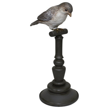 Curious Bird on Stand Statuette