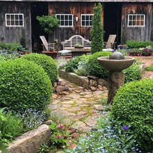 Emily’s Yard