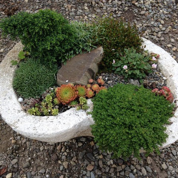 Hypertufa Trough Gardens