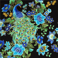 peacock