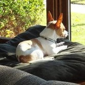 Kim Blodgett- Theune's photo