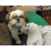 Jennifer Bevard-Huiett's photo