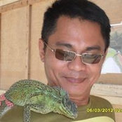 Odi Pals foto