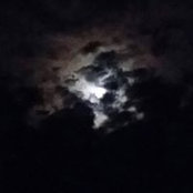 Foto de Debbie Poulos