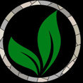 Alfa Landscaping, Inc.'s profile photo