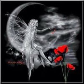 Debra Izzo's photo
