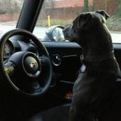 Sophie Taitt's photo