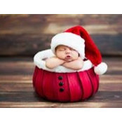 Sheila Bonner's photo