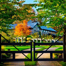 Driveway/landscaping