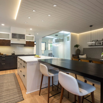 Minneapolis Whole Home Renovation