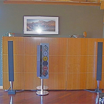 MEDIA STORAGE CABINETRY