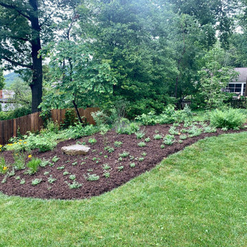 Carolina Avenue Project