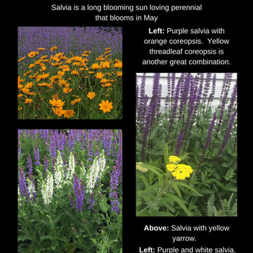 Landscaping tips and resources
