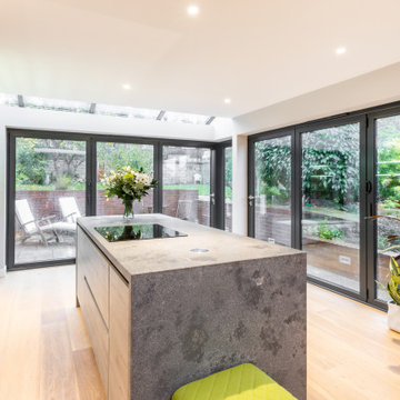 Contemporary Annexe