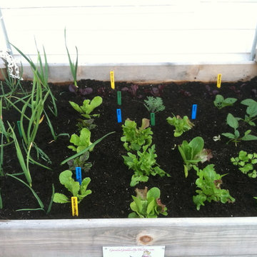 Vegetable & Herb Gardens