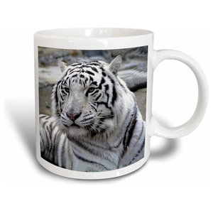 Shikara Siberian Tiger Mug Traditional Mugs By 3drose L L C