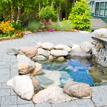 Pond