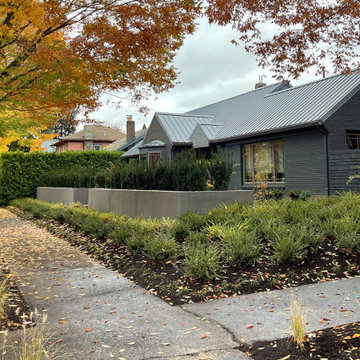 Front garden: photo taken day after installation completed 2021