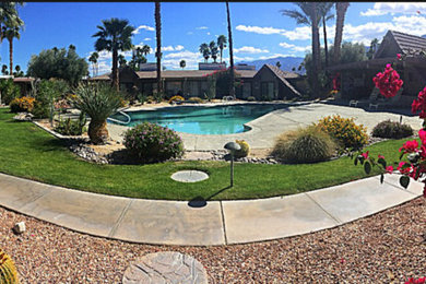 Palm Springs Oasis