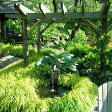 Water Feature