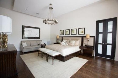 Bedroom - transitional bedroom idea in Austin