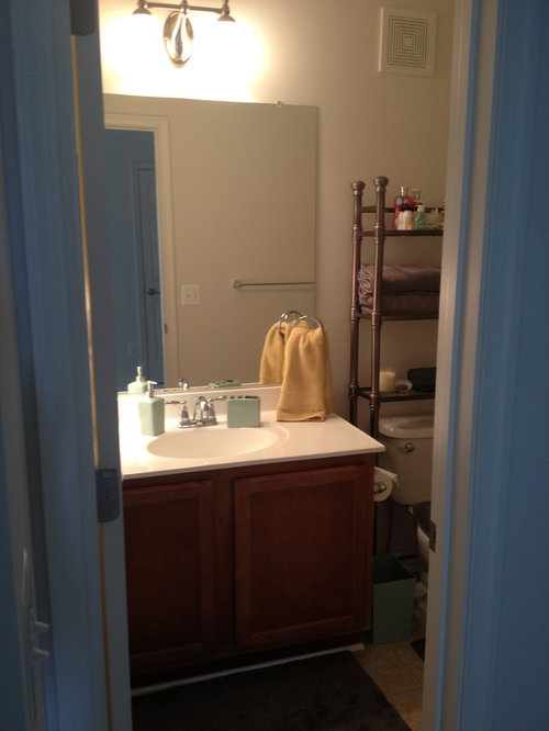 Guest bathroom paint color
