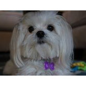 Vickie Paprocki Danaher's photo
