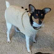 PennyLane Lowe's photo