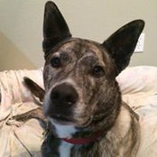 Colleen Cianciarulo's photo