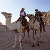 Michele Carbonara's photo