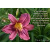Jacqueline Latulippe's photo