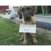 Nicholas Wasserman's photo