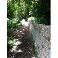 Cotswold Stone & Lime Ltd's profile photo