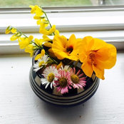 Photo de Padmini Raman