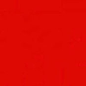 Maite Gallego's photo