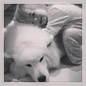 Heather Hubbard's photo