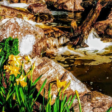 2020 Best Water Feature