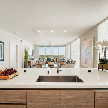 Modern Kitchen Remodel in Fort Lauderdale
