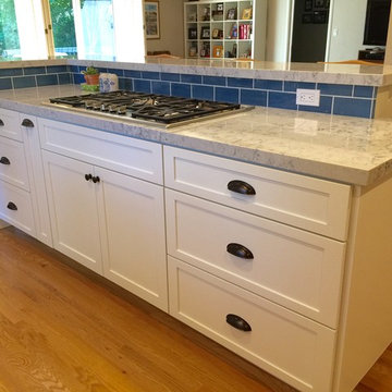 Blue and White Kitchen