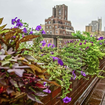 14th St. Terrace