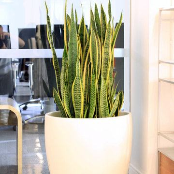 Root and Stock | Napa Round Cylinder Planter - White
